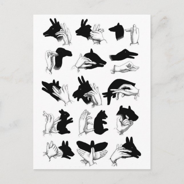 Classic Illustration Postcard (Front)