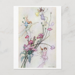 Classic Illustration Postcard
