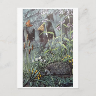 Classic Illustration Postcard