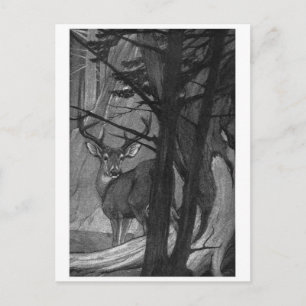 Classic Illustration Postcard