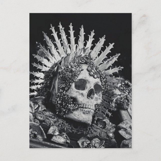 Classic Illustration Postcard (Front)