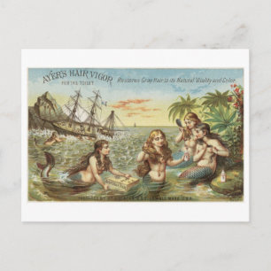 Classic Illustration Postcard