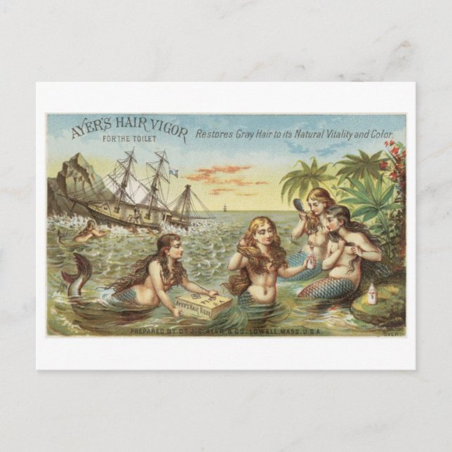 Classic Illustration Postcard (Front)