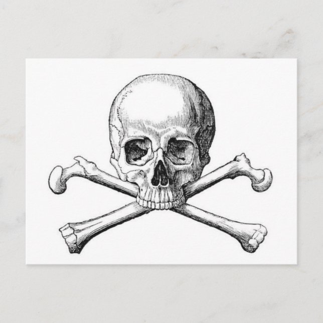 Classic Illustration Postcard (Front)