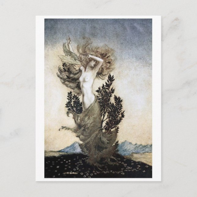 Classic Illustration Postcard (Front)