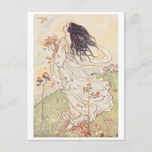 Classic Illustration Postcard (Front)