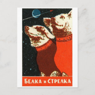 Classic Illustration Postcard