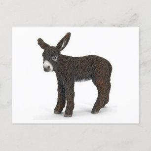 Classic Illustration Postcard