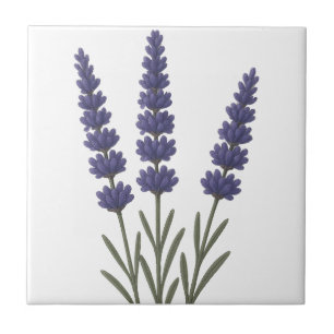 Classic Lavender Botanical Art Design Tile