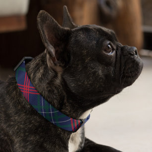 Classic Navy and Green Tartan Plaid Holiday Dog Pet Collar