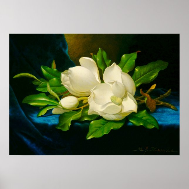 Classic Paintings - Martin Johnson Heade prints (Front)