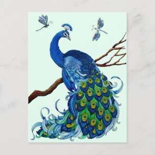 Classic Peacock Design Postcard