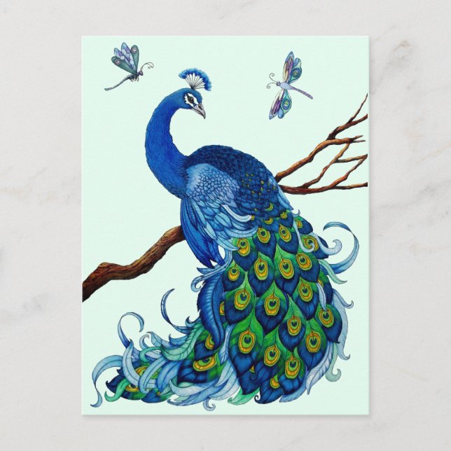 Classic Peacock Design Postcard (Front)