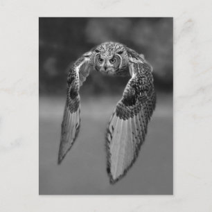 Classic Photo Postcard