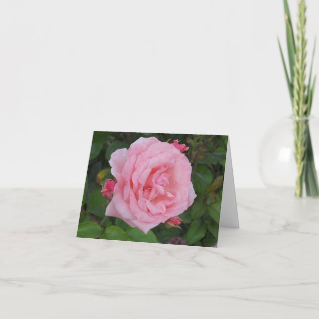 Classic Pink Rose Blank Folded Note Card (Front)