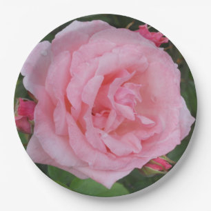 Classic Pink Rose Paper Plate