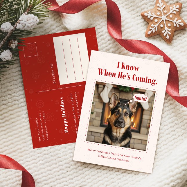 Classic Playful Funny Dog Pet Photo Christmas Holiday Postcard (Creator Uploaded)