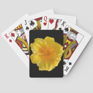 Classic Playing Cards