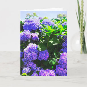Classic Purple Realistic Hydrangea Greeting Card