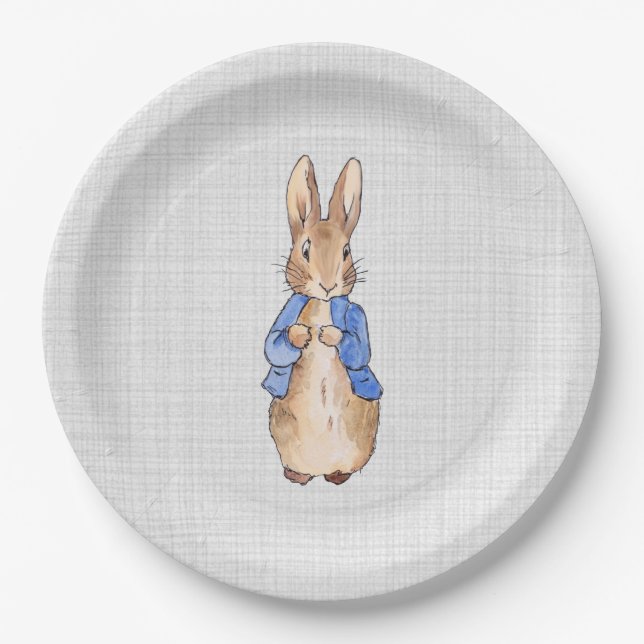 Classic Rabbit in blue jacket Paper Plate (Front)