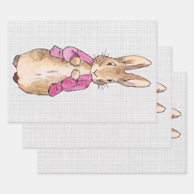 Classic rabbit in pink jacket wrapping paper sheet (Set)