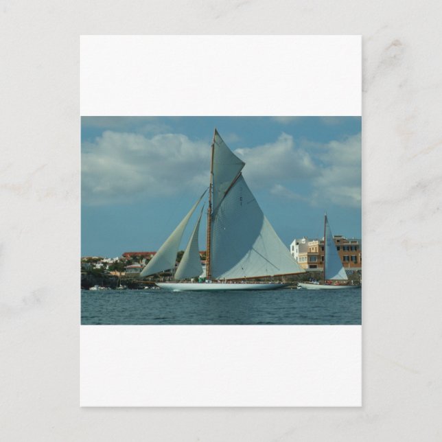Classic Racing Yacht Postcard (Front)
