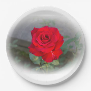 Classic Red Rose Paper Plate