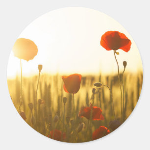 Classic Round Sticker