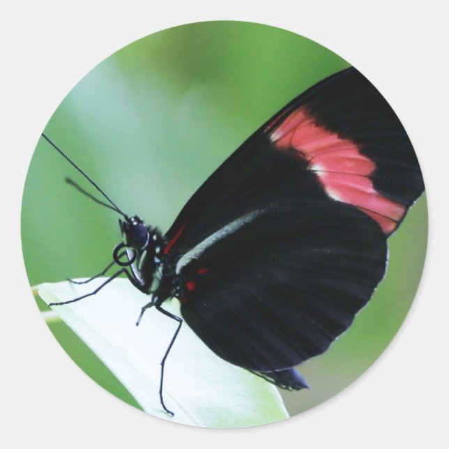 Classic Round Sticker/Postman Closeup Sticker (Front)