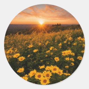 Classic Round Stickers