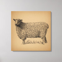 Classic Sheep Art Illustration Antique Farm Animal