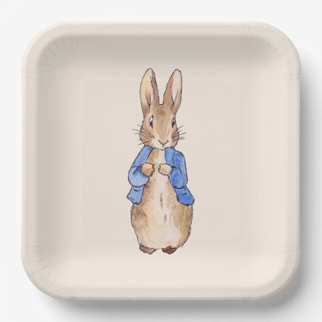 Classic storybook rabbit blue jacket paper plate (Front)