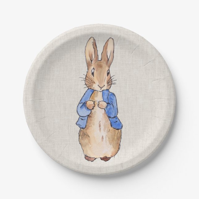 Classic Storybook Rabbit Linen Background Paper Plate (Front)