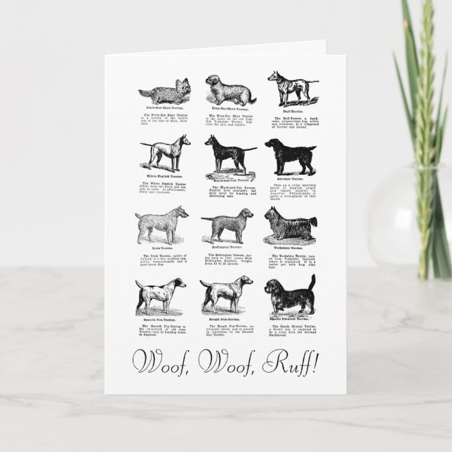CLASSIC TERRIER DOG BIRTHDAY WISH CARD (Front)