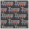 Classic Trump 2020 Pattern