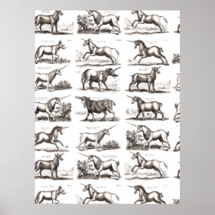 Classic Unicorn Antique Mythical Magical Creature Poster