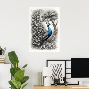 classic vintage peacock pictur artposter print