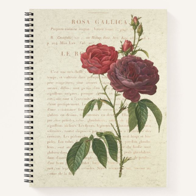 Classic Vintage Rosa Gallica Notebook (Front)