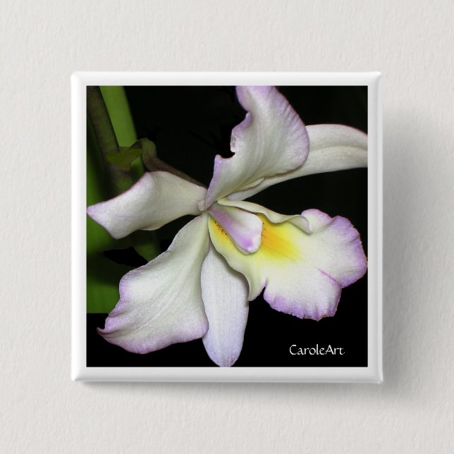 Classic White Orchid 15 Cm Square Badge (Front)