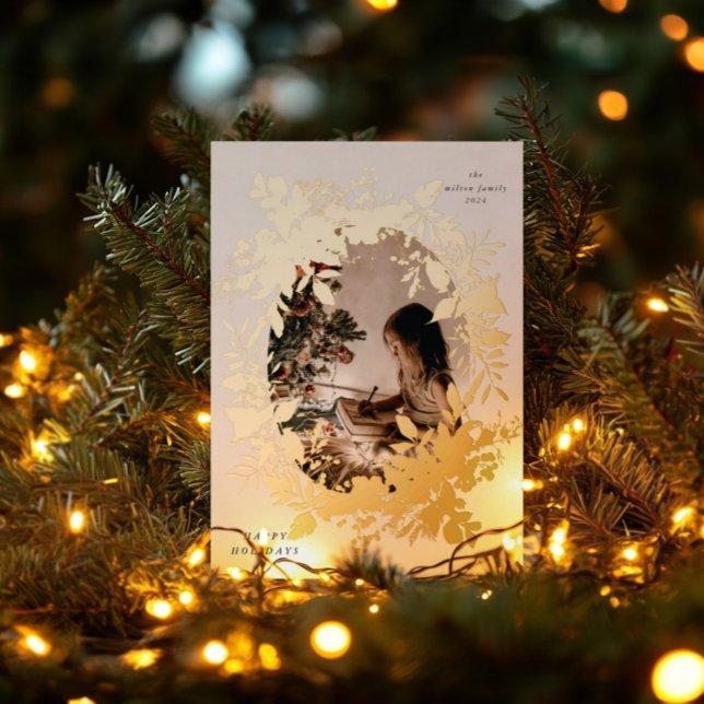 Classical Holiday Berries Photo (Creator Uploaded)