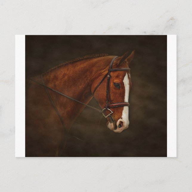 Classical Postcard (Front)