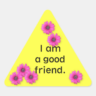 Classroom Behaviour Management  triangle sticker