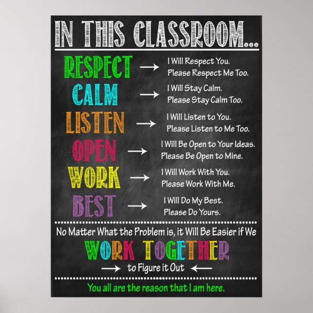 Classroom Expectations Poster (Front)