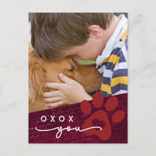 Classroom Valentine Child Pet Custom Photo Holiday Postcard