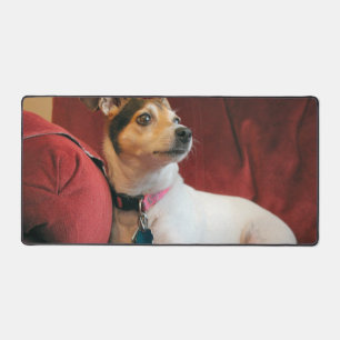 Classy Desk Mat