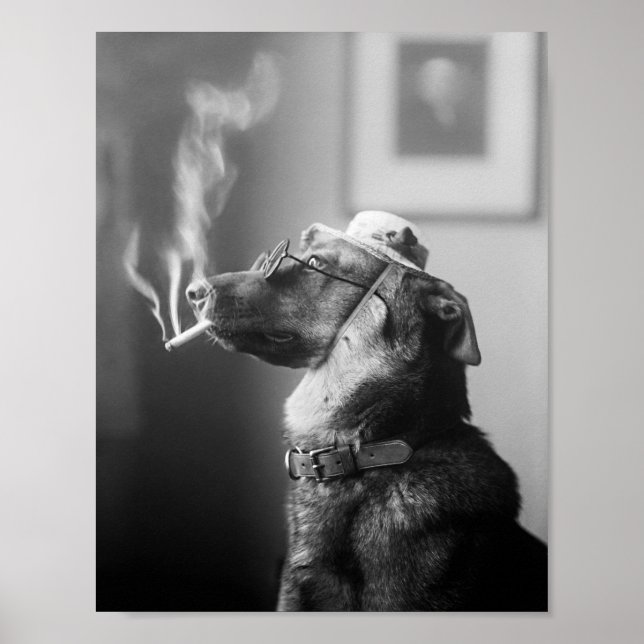 Classy Dog Smoking a Cigarette Poster (Front)