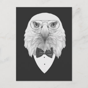 Classy Eagle Portrait Postcard