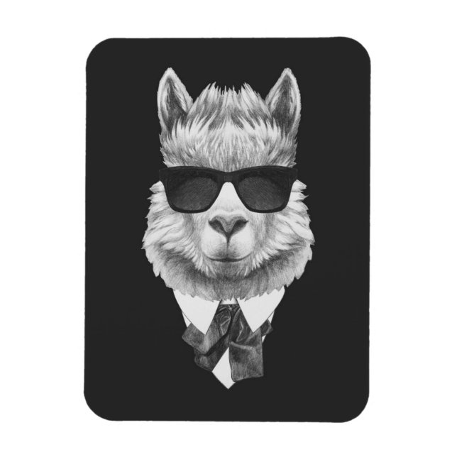Classy Llama Magnet (Vertical)