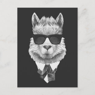 Classy Llama Postcard