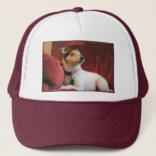 Classy Trucker Hat